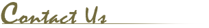 Contact Us